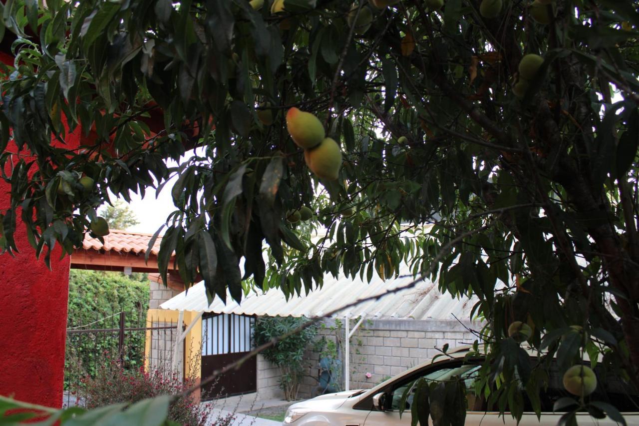 Betos Departamentos Apartment Valle de Bravo Bagian luar foto